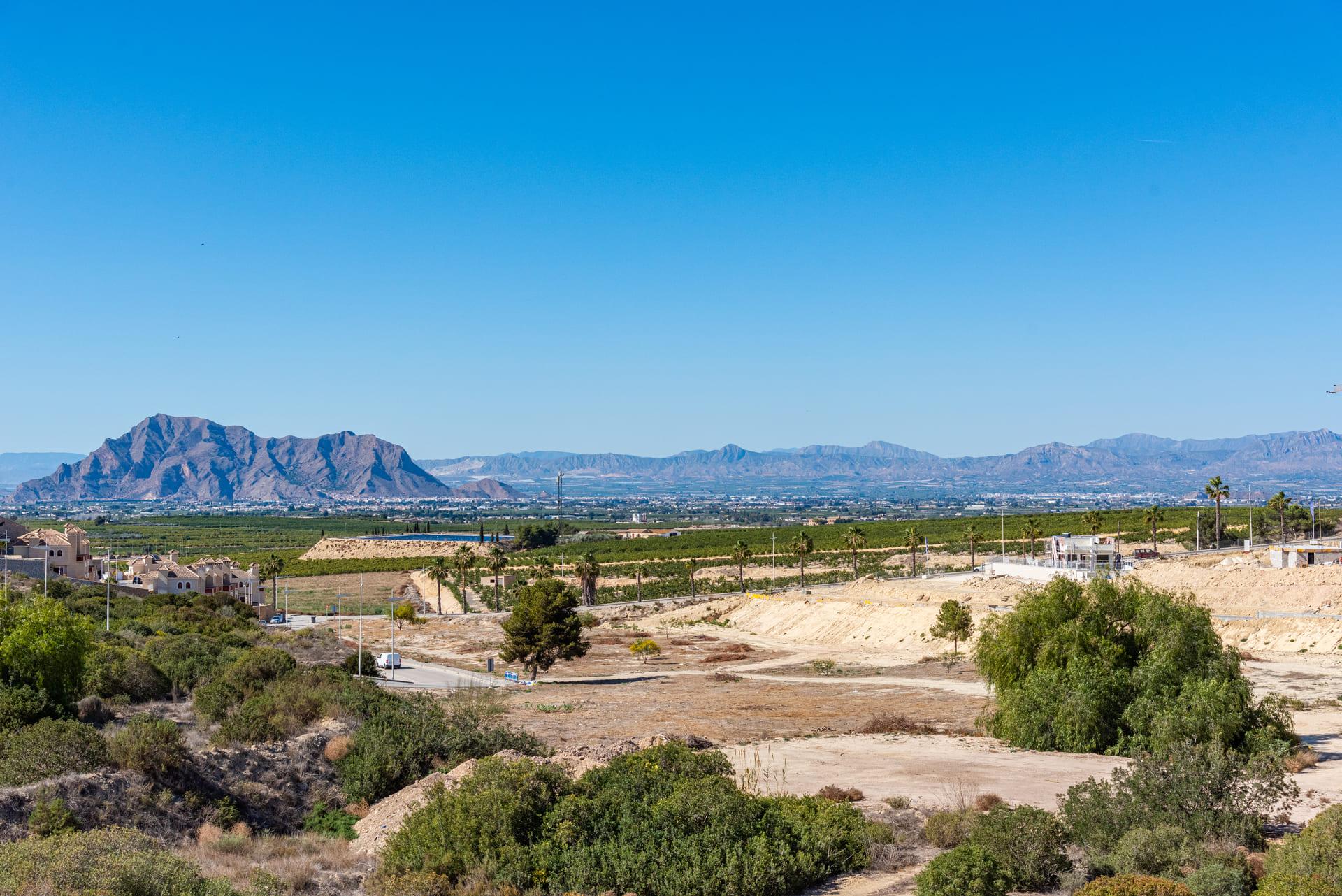 Garden area on 455m2 plot surrounding new-build villa, Algorfa