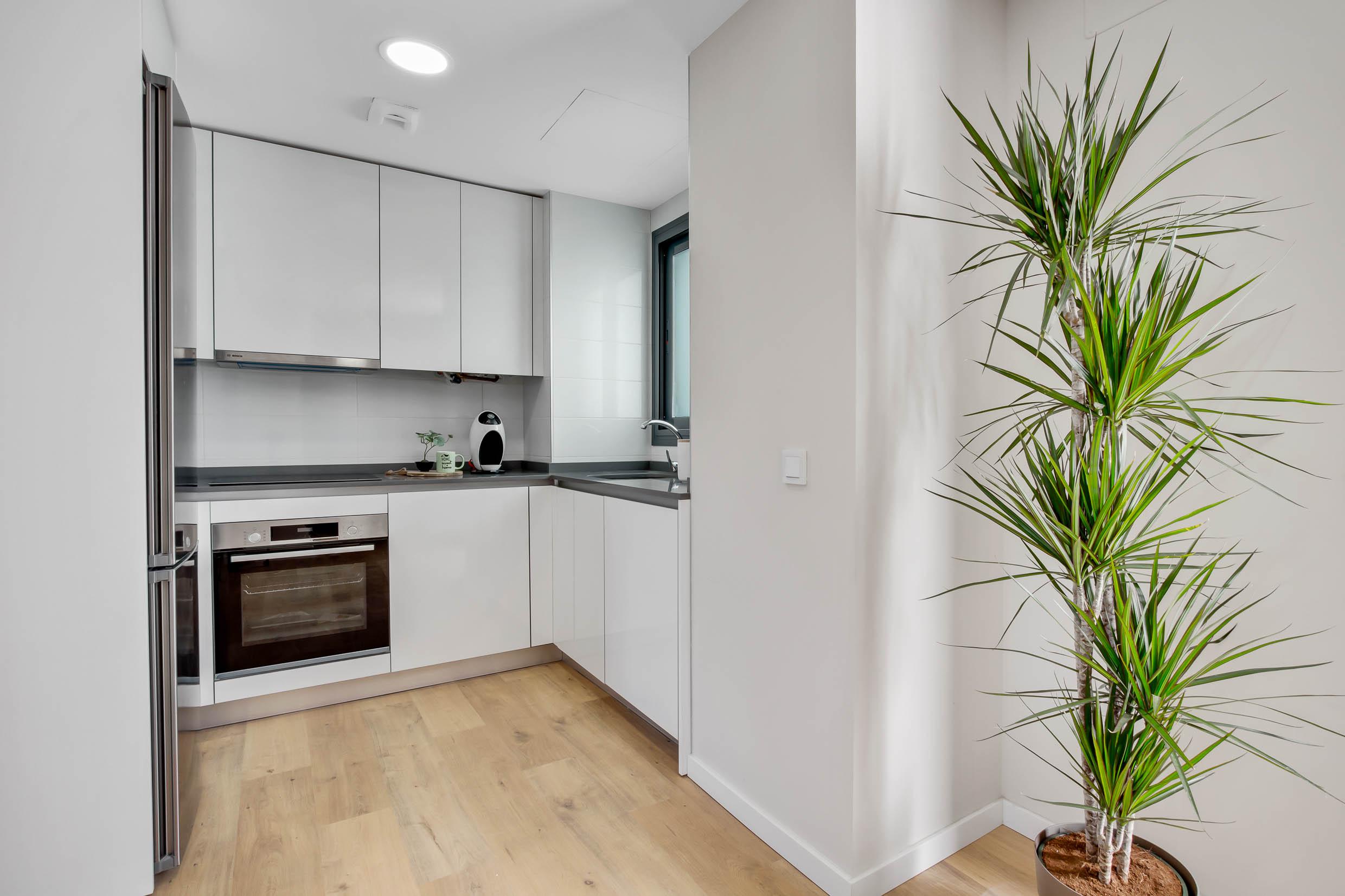 CGI render of kitchen in 2-bed apartment, Las Lagunas, Mijas