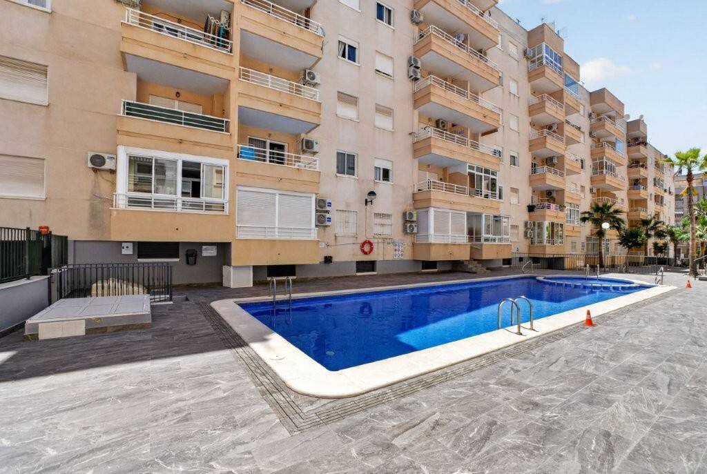 Communal garden with palm trees at residential building, Centro, Torrevieja