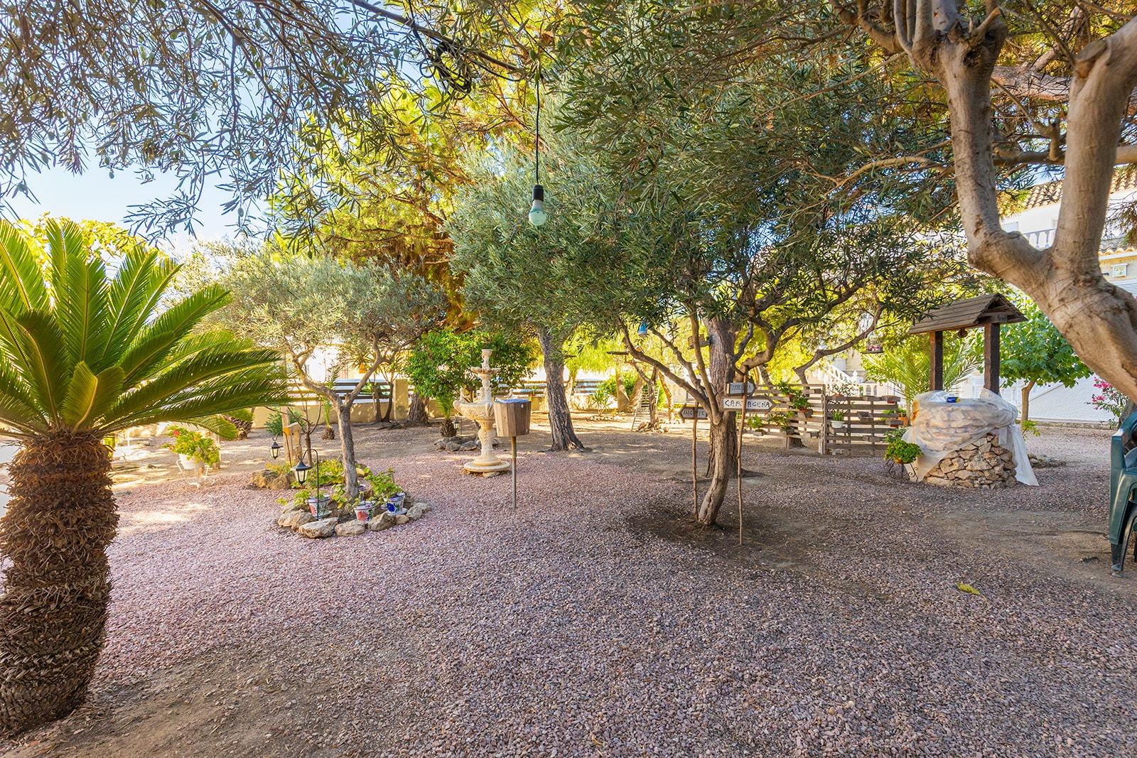 View of patio garden from inside bungalow, La Mata, Torrevieja