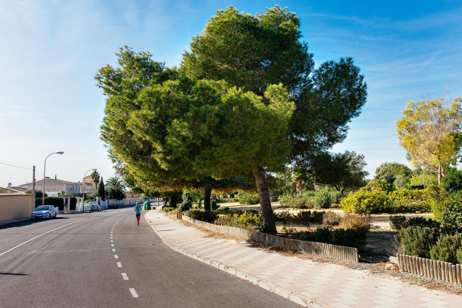 Communal pool with surrounding vegetation and paving, La Siesta, Torrevieja