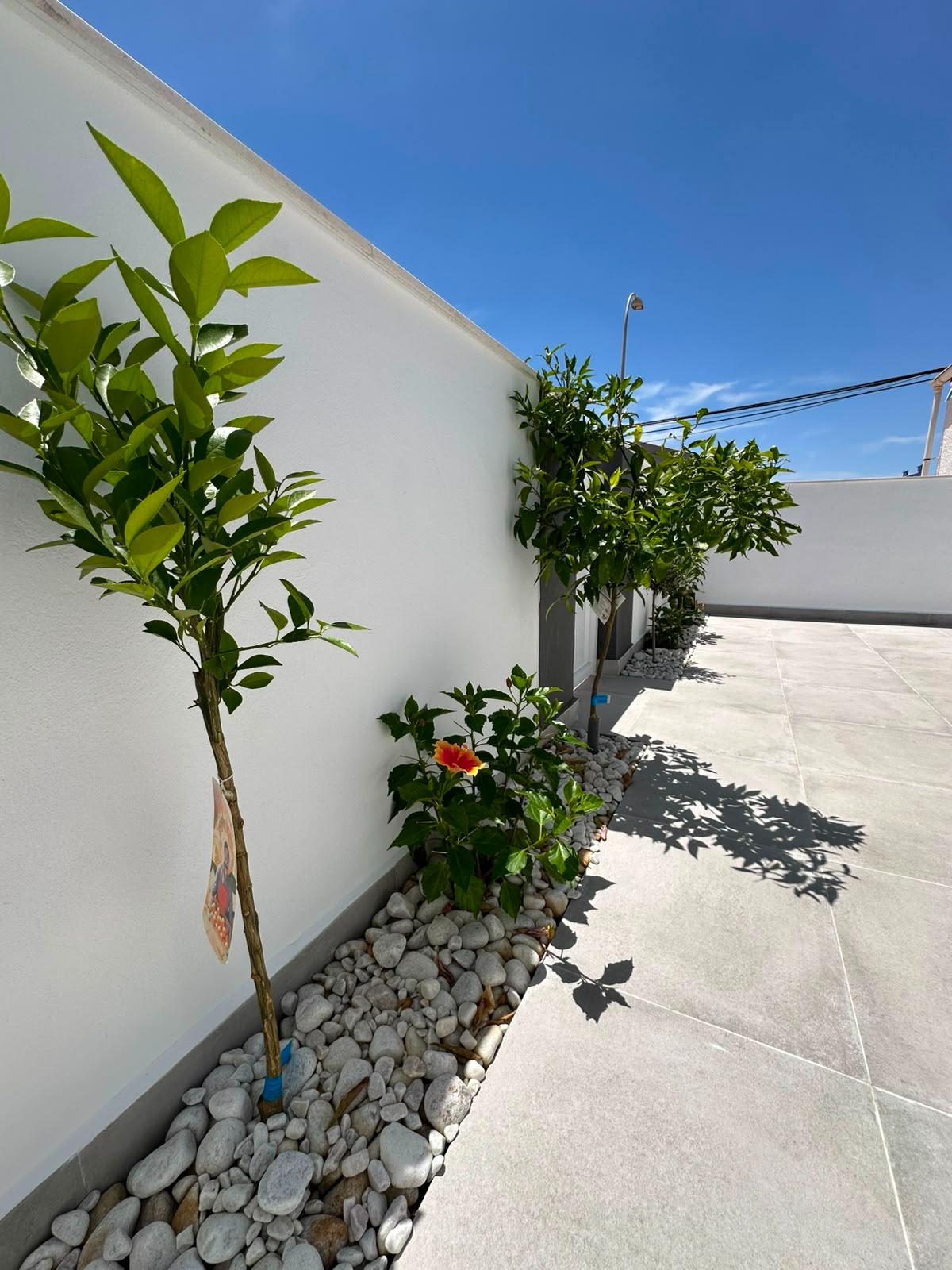 Second bedroom in 2-bedroom bungalow, La Siesta, Torrevieja