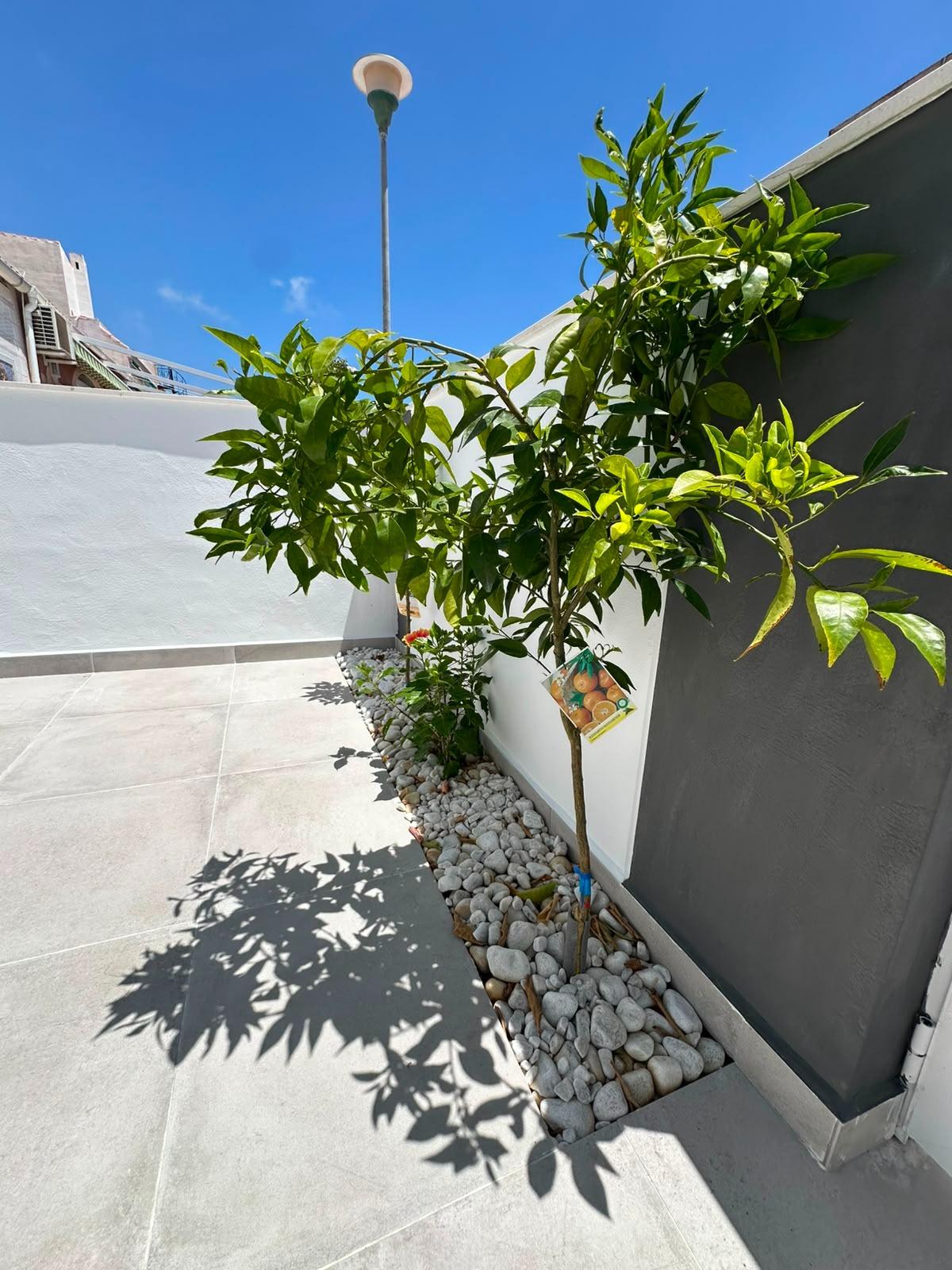 Bathroom in 2-bedroom bungalow, La Siesta, Torrevieja