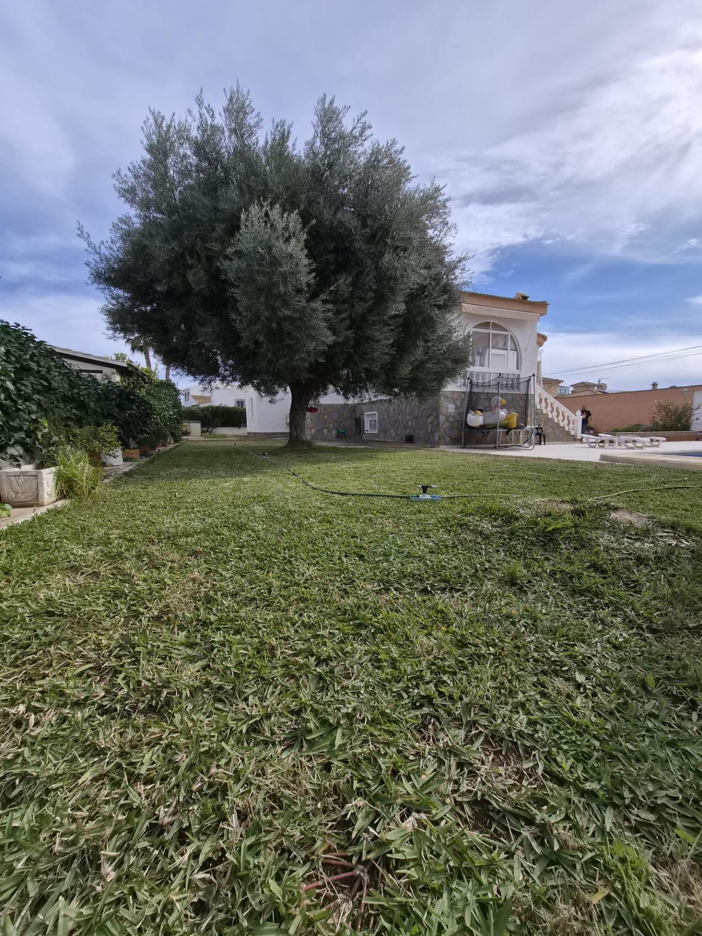Entrance area of detached villa in El Chaparral, Torrevieja