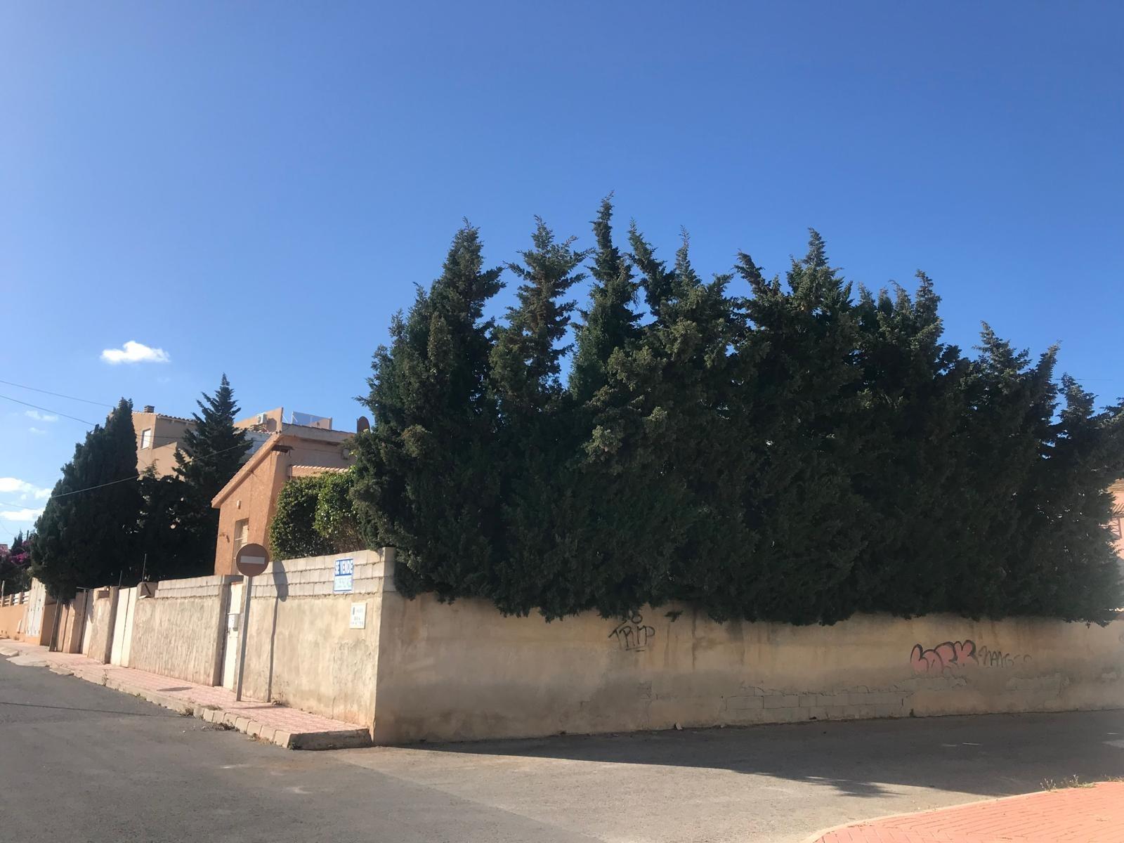 Private swimming pool and garden on 600m2 plot, Rosaleda-Los Frutales, Torrevieja