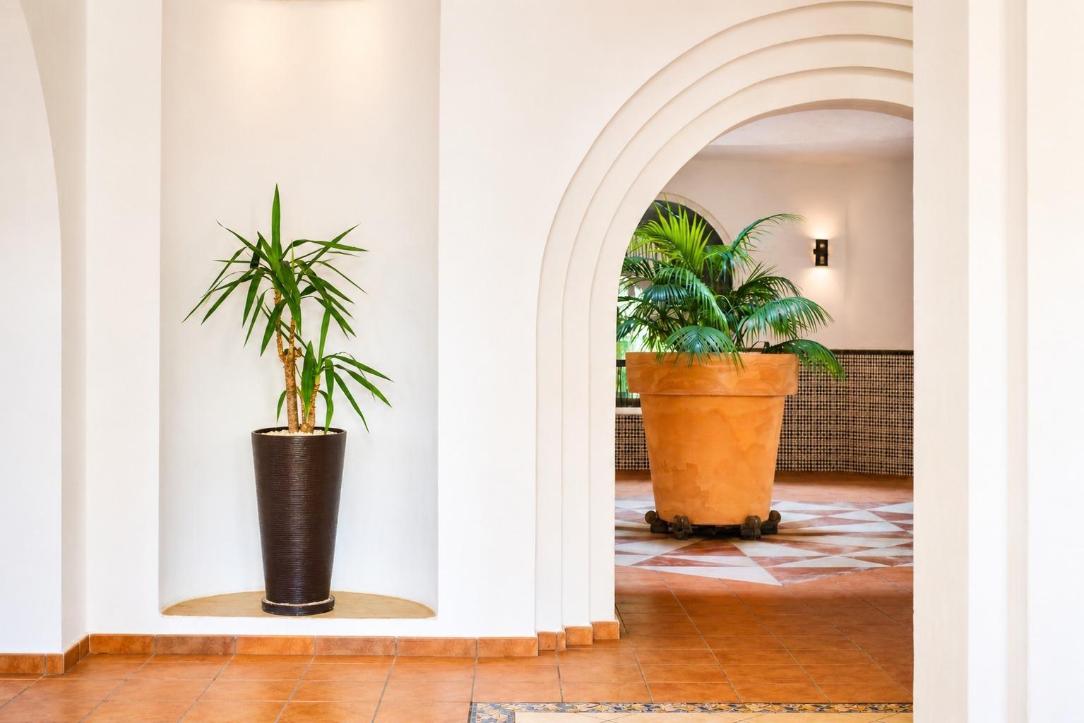 Landscaped communal gardens in residential complex, Los Frutales, Torrevieja