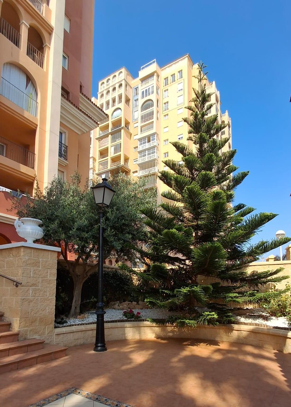 Second allocated underground parking space in building, Los Frutales, Torrevieja
