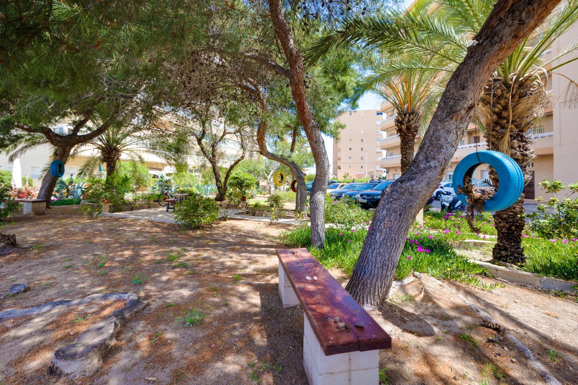 Communal garden area of residential building, La Mata, Torrevieja
