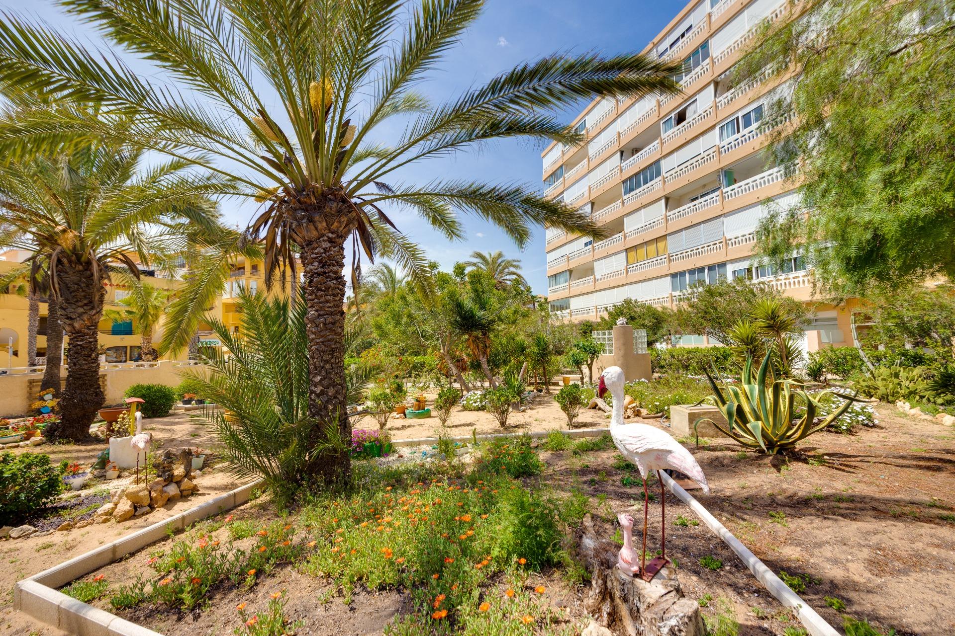 Two communal parking spaces included with apartment, La Mata, Torrevieja
