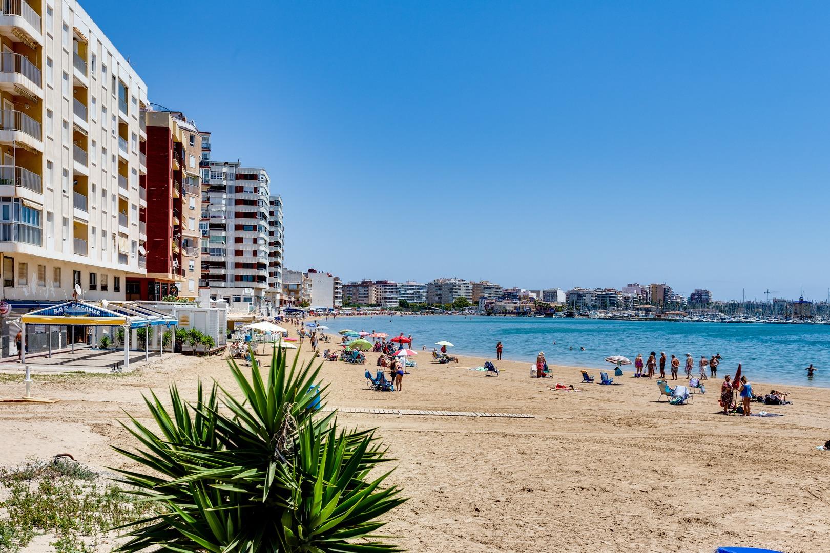 Window view from first-floor apartment, Acequion, Torrevieja