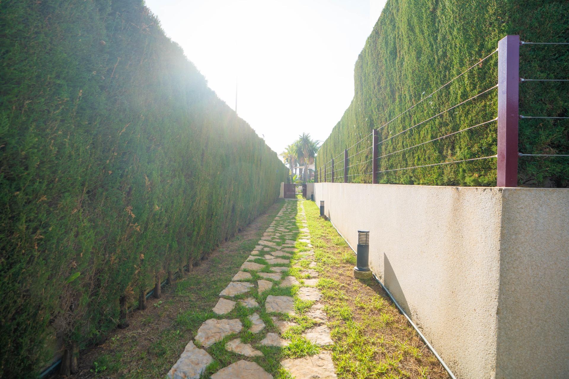 Residential street surrounding penthouse complex in Rocío del Mar