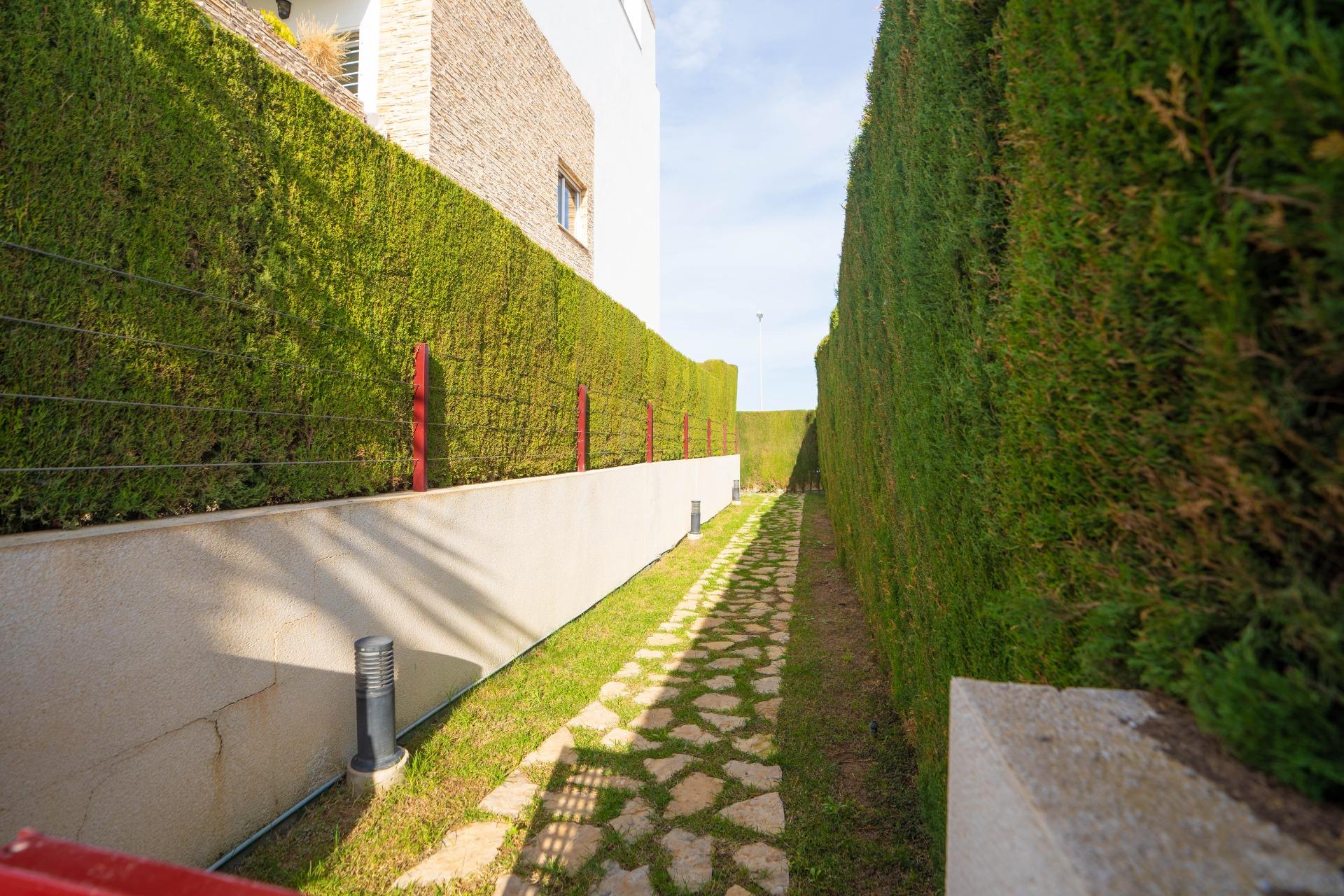 Communal pool and surrounding area, penthouse complex in Rocío del Mar