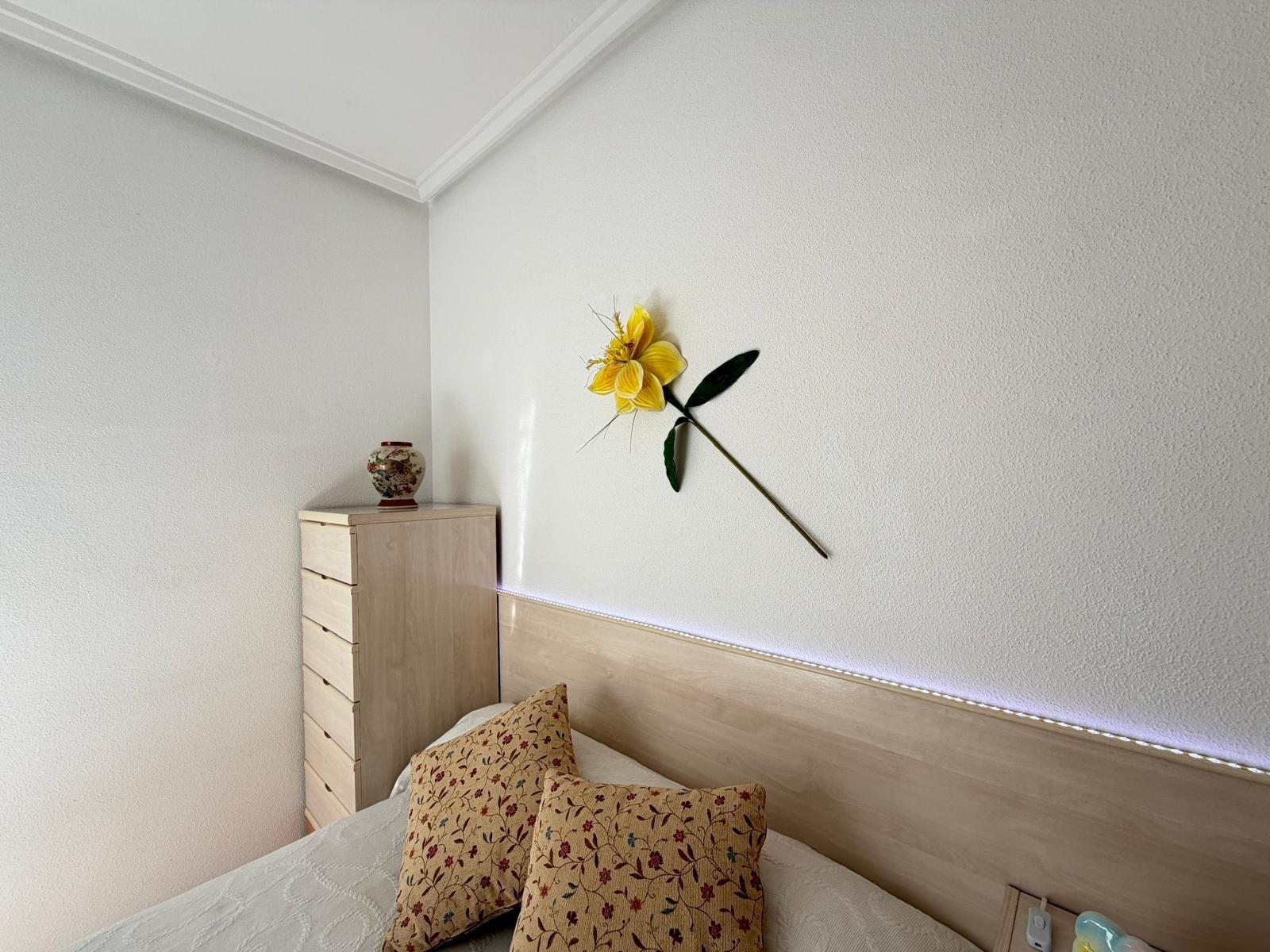 Kitchen appliances and storage units, penthouse in Playa del Cura