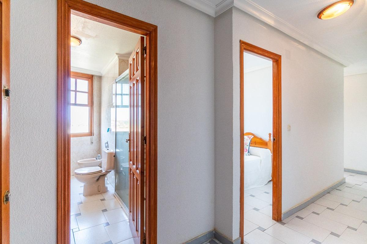 Living area with natural light, 1-bedroom apartment, La Mata Pueblo, Torrevieja