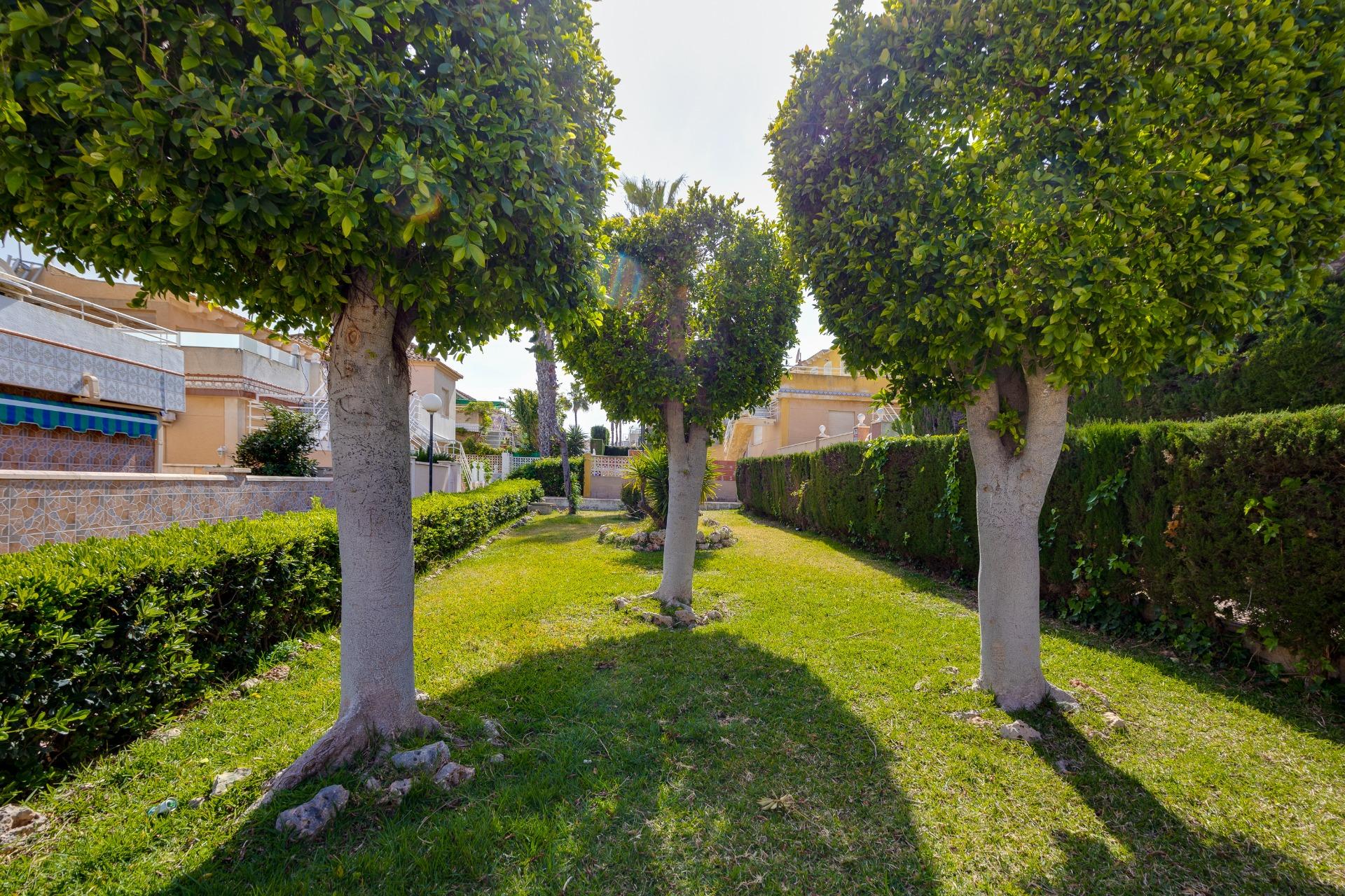 Pool surround with planted borders, Los Altos, Torrevieja