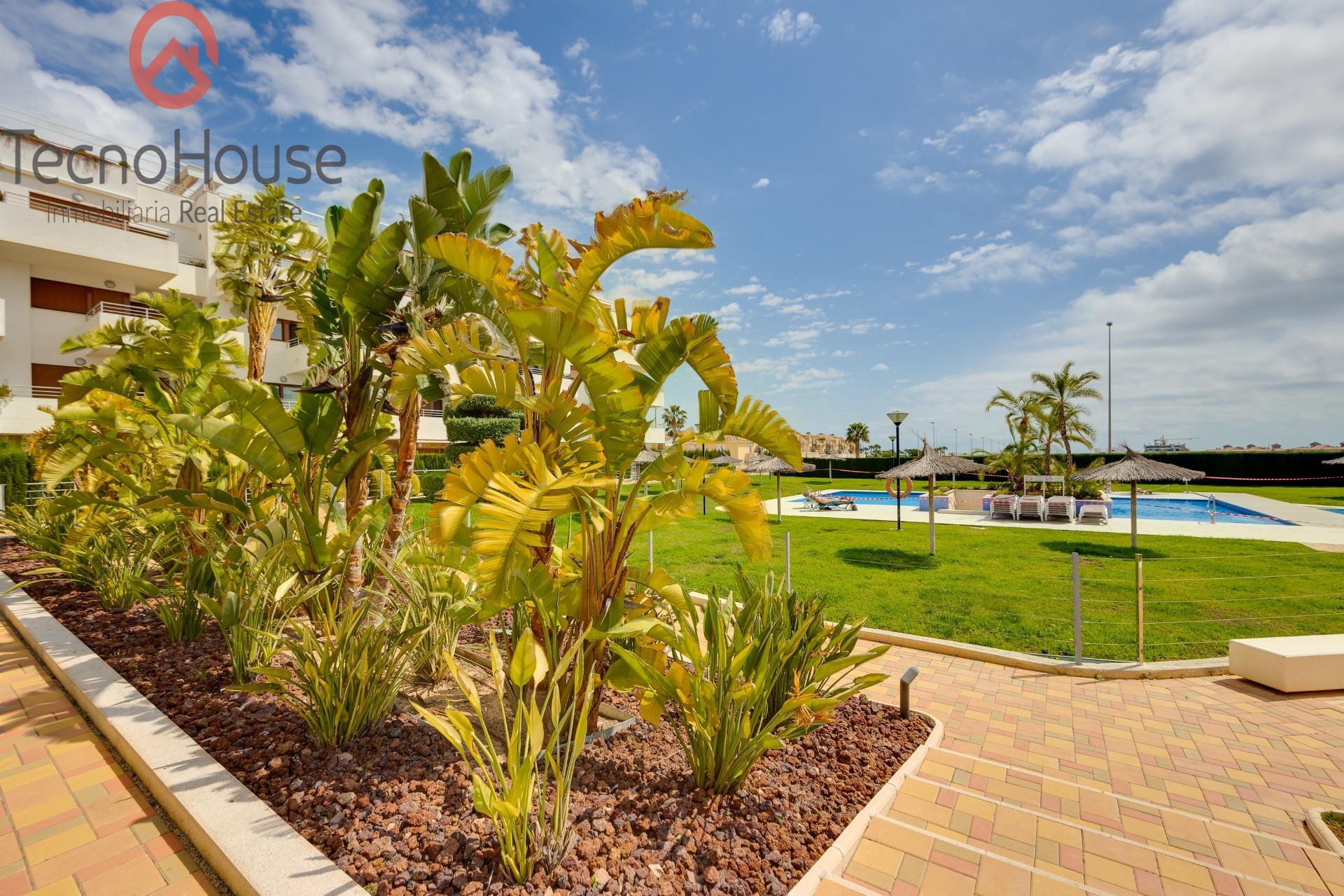Communal pool from upper angle, Residencial Terrazas de Campoamor
