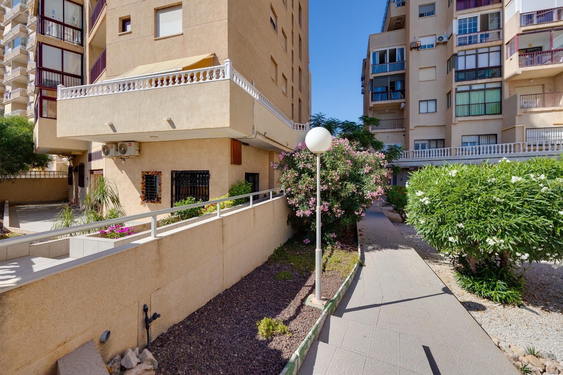 Dining area detail, furnished apartment in La Mata, Torrevieja