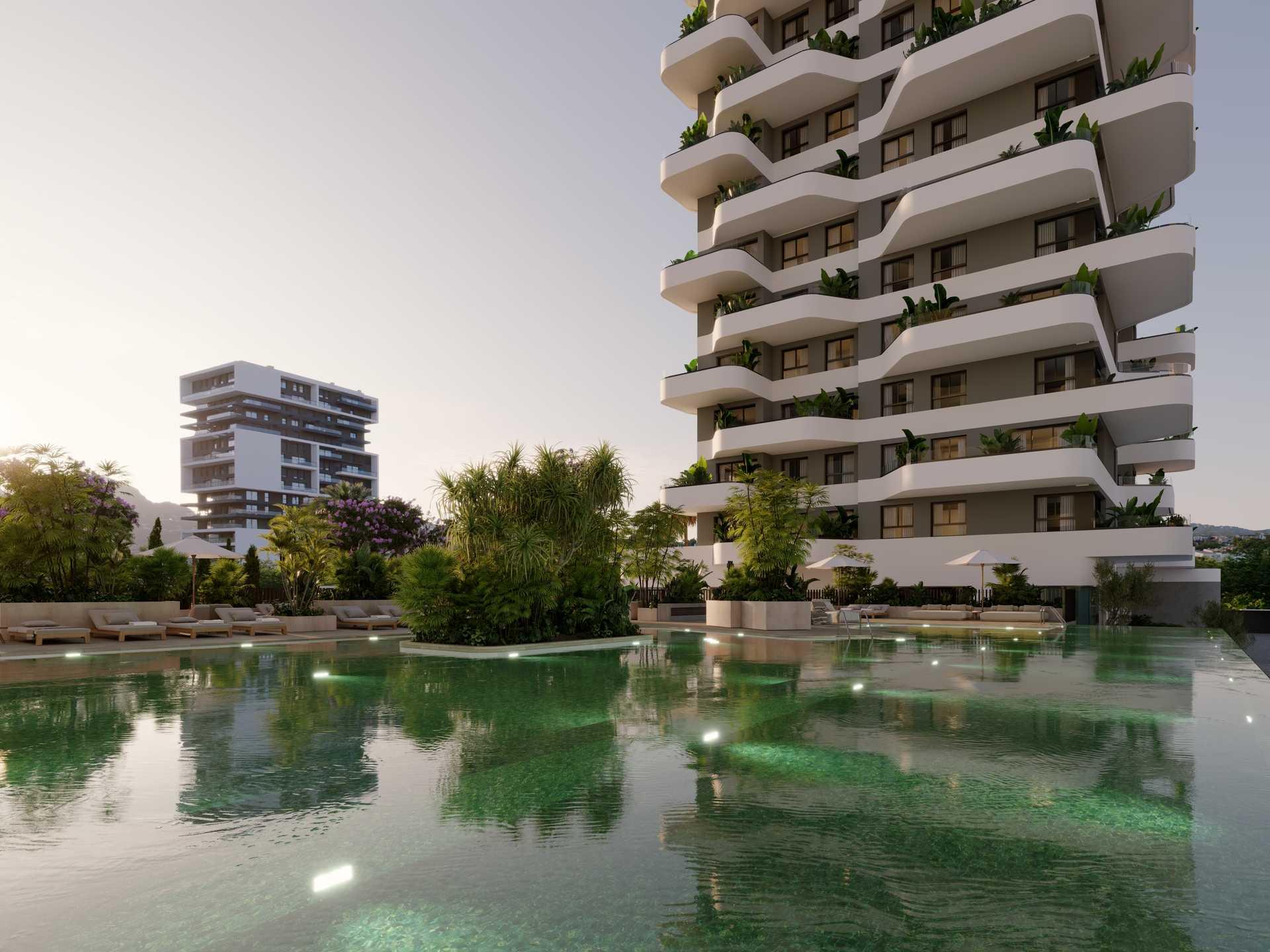 Communal grounds showing pool surround and sunbathing area, Playa Arenal-Bol, Calpe