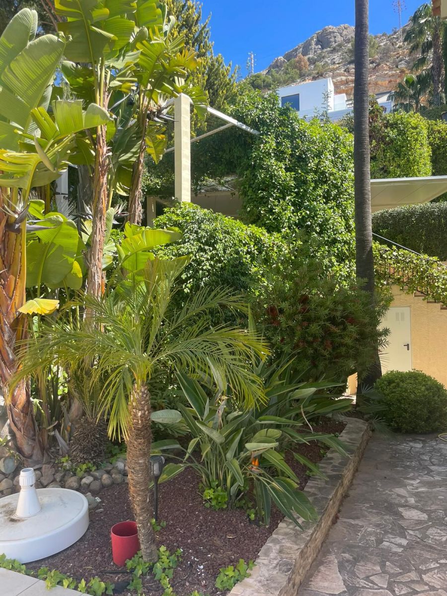 Private garden and landscaped grounds of new-build villa, Zona de Mascarat