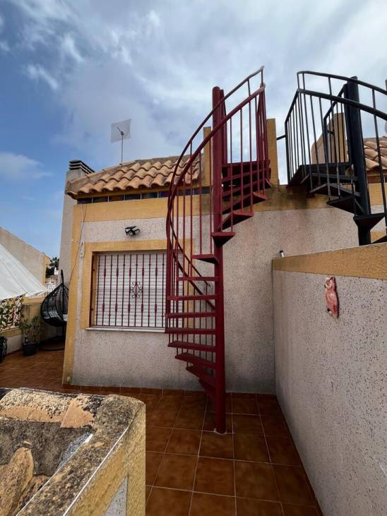 Communal garden and grounds of the residential complex, Centro, Torrevieja