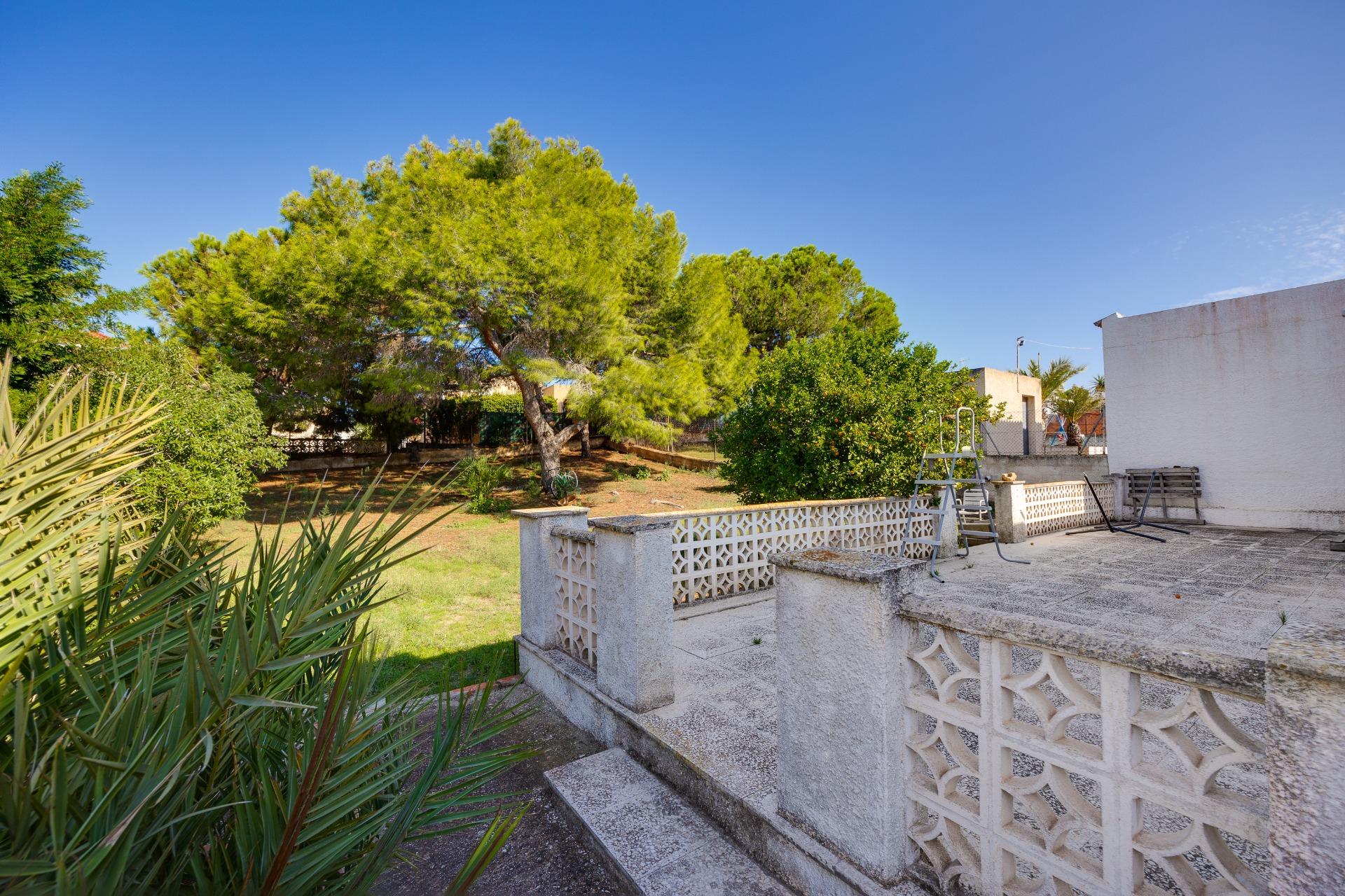 Garden seen from the patio