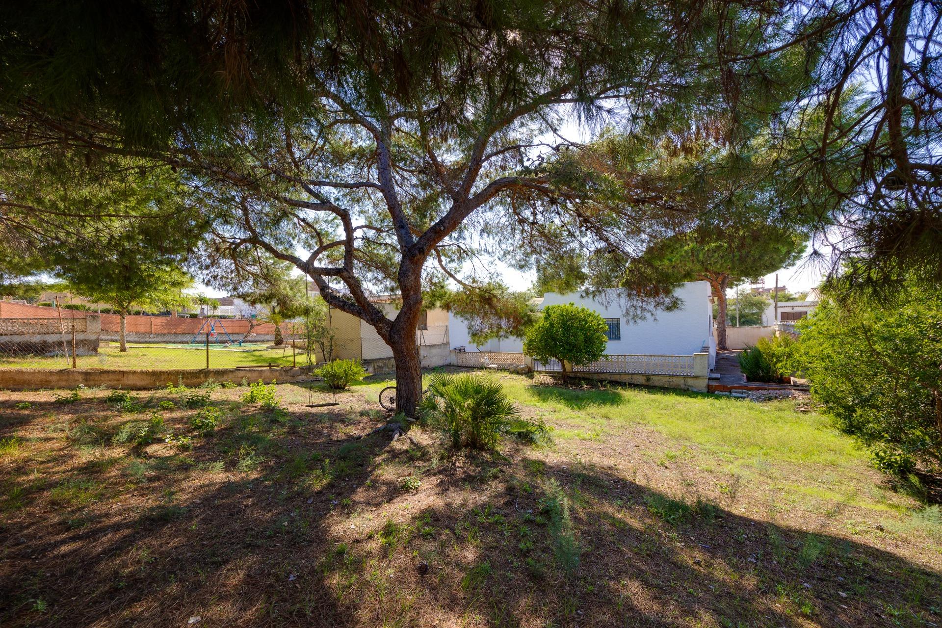 Rear boundary of the 713 m2 plot