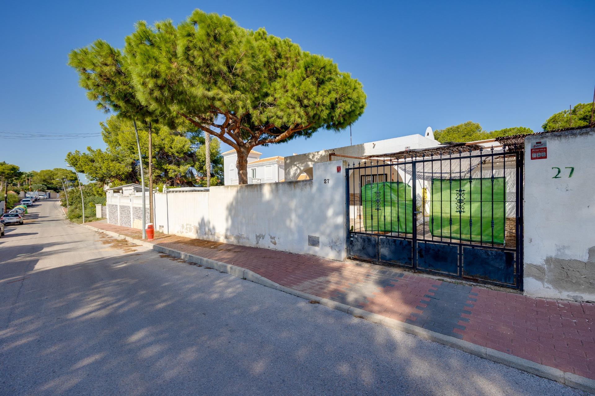 Garden corner with trees and planting