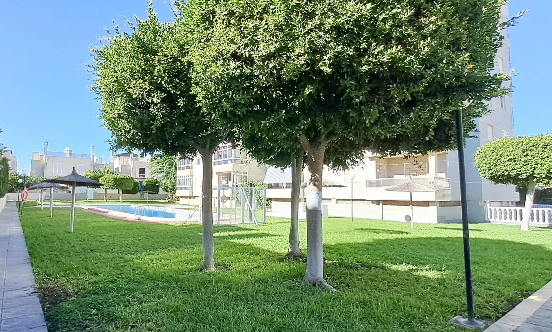 425, Sal y Sol